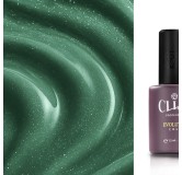 Evolution | Galaxy