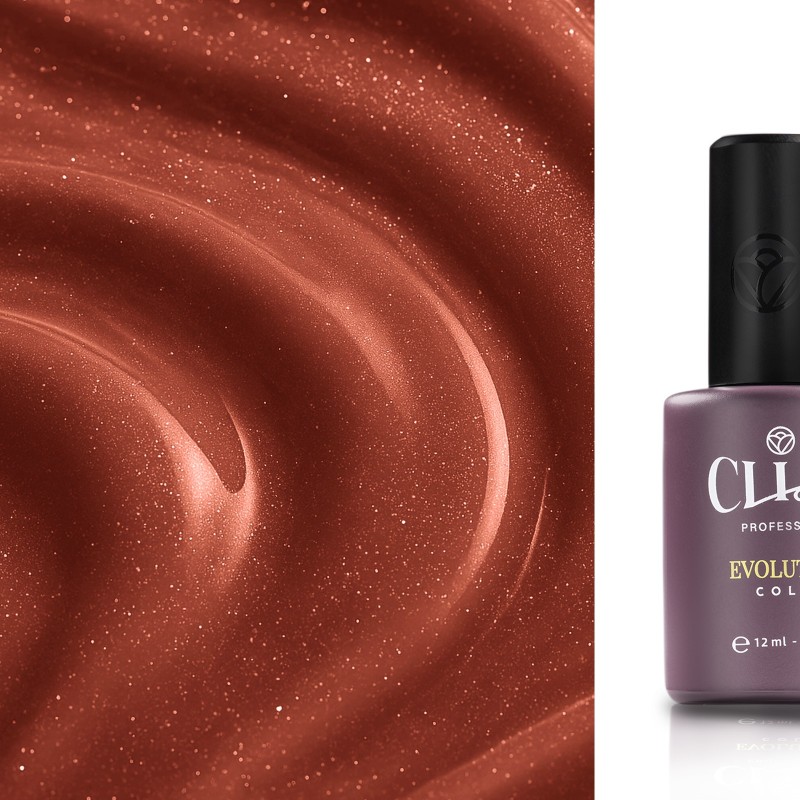 Evolution | Bronzing