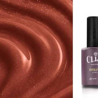 Evolution | Bronzing