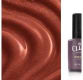 Evolution | Bronzing