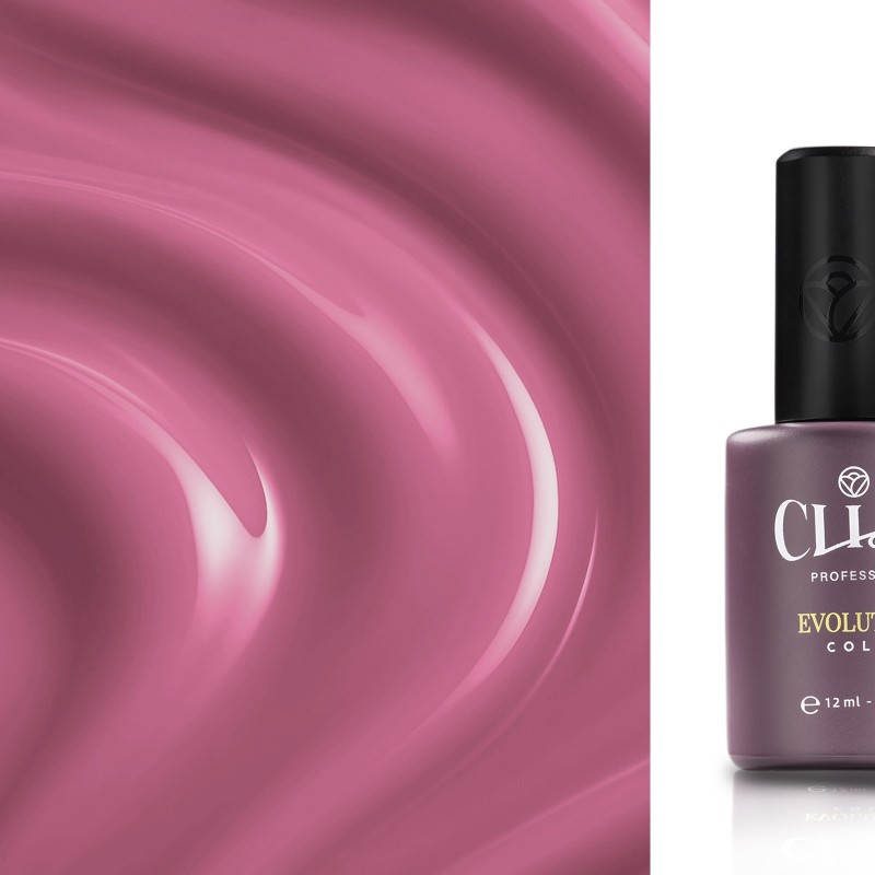Evolution | Fucsia