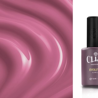 Evolution | Fucsia