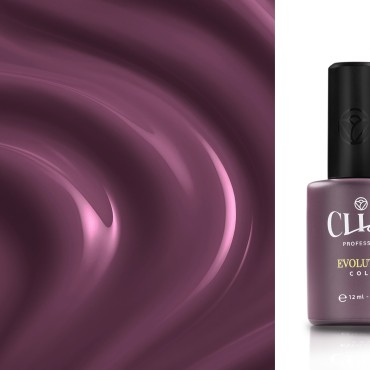 Evolution | Grape