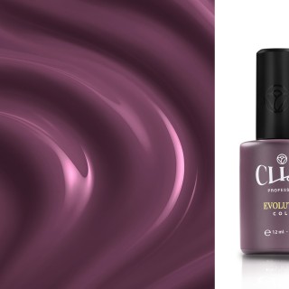 Evolution | Grape