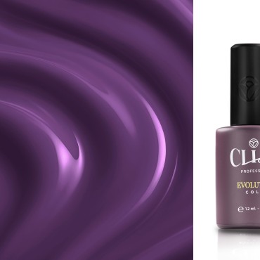 Evolution | Blueberry