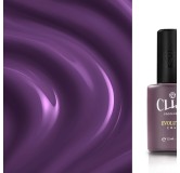 Evolution | Blueberry