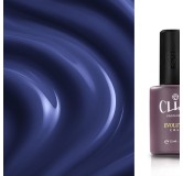 Evolution | Iris