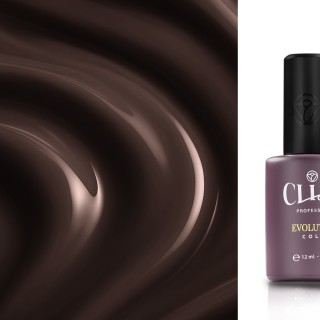 Evolution | Cioccolato