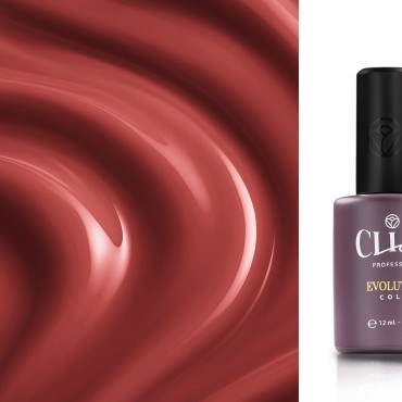 Evolution | Cherry