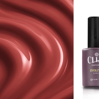 Evolution | Cherry