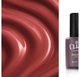 Evolution | Cherry