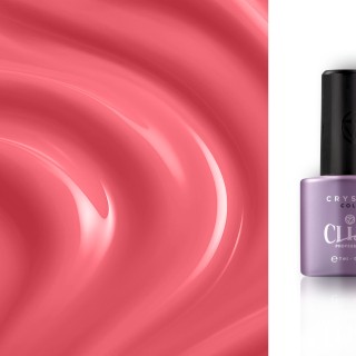 Crystal Color | Tulip